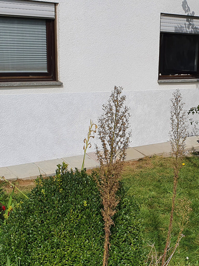 kewabo® gmbh paderborn referenzen